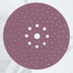 1950 siaspeed Discs ø 225mm 128-Holes